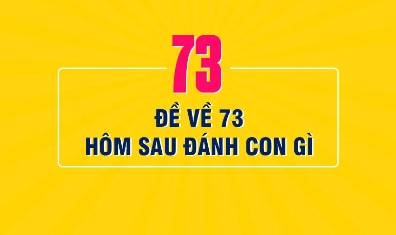 Đề về 73 hôm sau đánh con lô đề gì chuẩn xác nhất