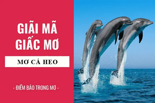 giai-ma-giac-mo-thay-ca-heo-min_11zon